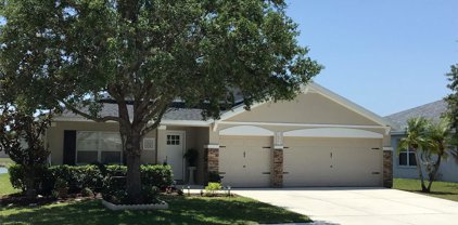12066 Warwick Circle, Parrish