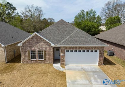 2931 Phelan Cir Se, Hanceville