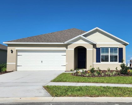 3640 Diving Dove Lane, Bartow