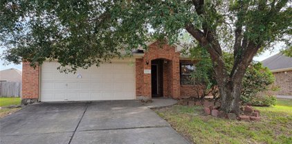 12910 Greens Manor Lane, Houston