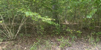 Lot 37 Scarlet Oak Lane, Fayetteville