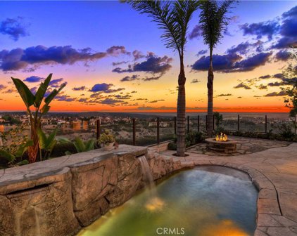 6 COASTAL CANYON Drive, Newport Coast