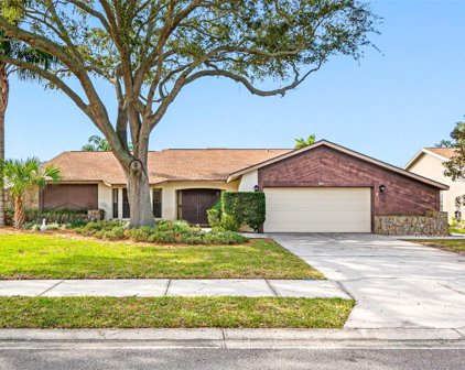 5025 Bridgeport Drive, Safety Harbor