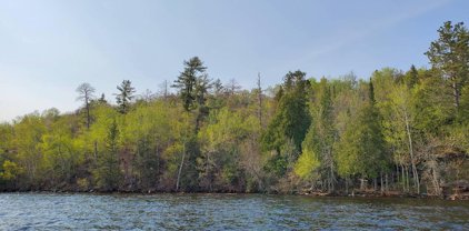 TBD Pine Island, Greenwood