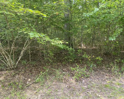 Lot 37 Scarlet Oak Lane, Fayetteville