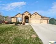 4210 Abergavenny Drive, Belton image
