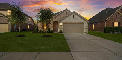 1310 Course View Drive, League City