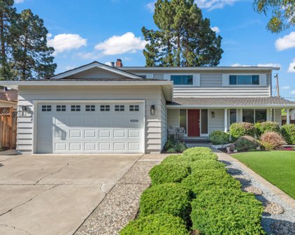 1159 Bodega DR, Sunnyvale