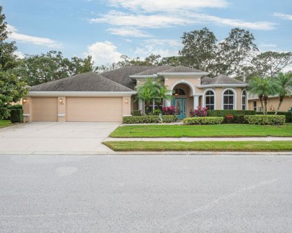 2909 Sunrise Drive, Clearwater