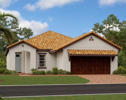 17251 Star Banks Street, Wimauma