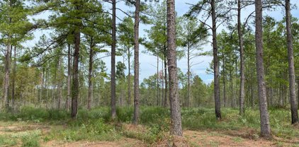 24633 Lot 28 Fm 844, Huntington