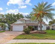 7505 Fawn Lake Road, New Port Richey image