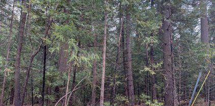 6134 Kokanee Lane, Pollock Pines