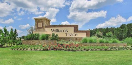 26043 Allan Poe Drive, Magnolia