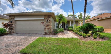 261 Davinci Pass, Poinciana