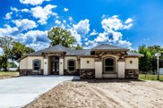 205 Liendo Drive, Trinity image