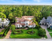 66 S Palmiera Circle, The Woodlands image