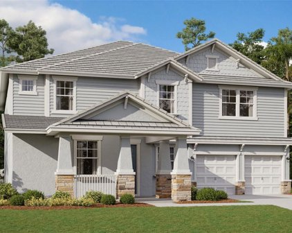 14225 Crest Palm Avenue, Windermere