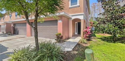 931 Celtic Circle, Tarpon Springs