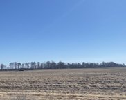 459.28 acres Cr 620, Walnut Ridge image