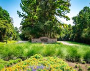 223 S Fazio Court, The Woodlands image