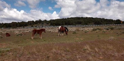 9190 Navajo Trail, Stagecoach