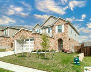 217 Asher Blue Drive, Hutto image
