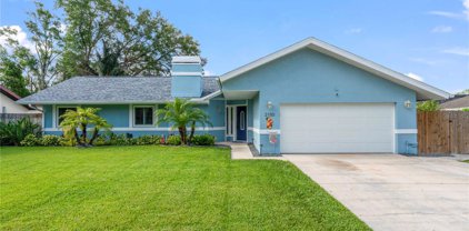 2150 Cimarron Terrace, Palm Harbor