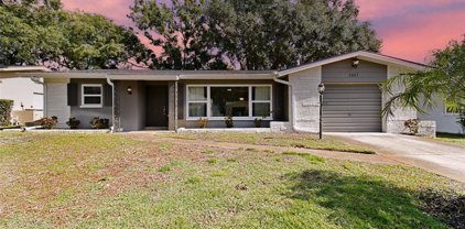 1537 Simmons Drive, Clearwater
