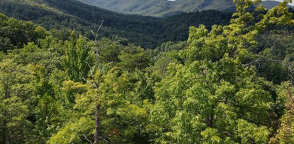 Lot 2 Caney Creek Rd, Pigeon Forge