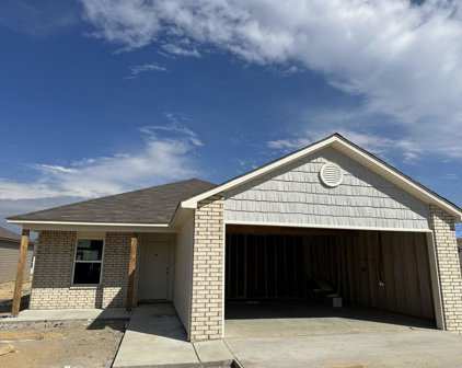 289 Rooster, Conway
