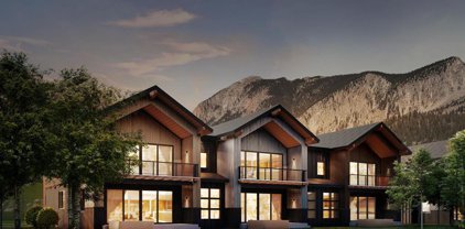 180 Elk Valley, Crested Butte