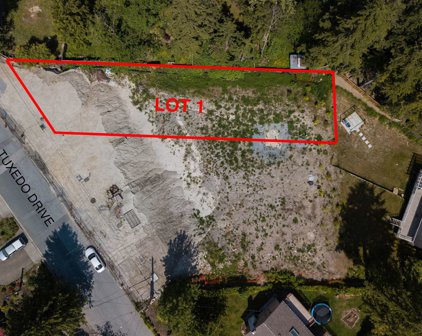 1180 Tuxedo Drive, Port Moody