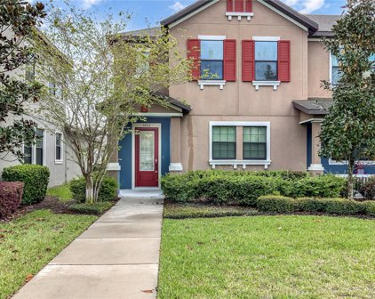 5806 Village Center Drive, Lithia