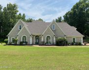 8867 Scenic Ridge Cove, Lake Cormorant image