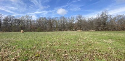 4 ACRES Clay Pond Dr, Unincorporated