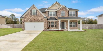 101 Brookhaven Loop NE, Ludowici