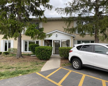 1830 W Surrey Park Lane Unit #2B, Arlington Heights