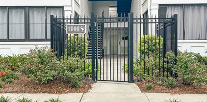 1025 Riverland Woods Place Unit #1009, Charleston