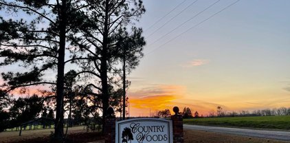 151 Country Woods Court, Sylvester