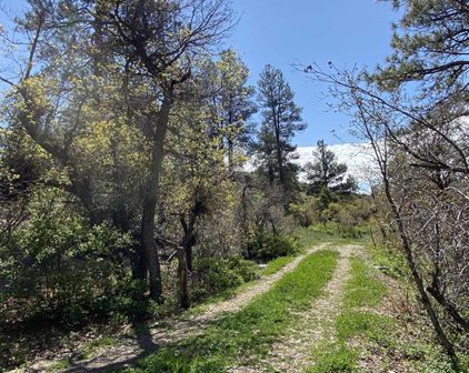 535 Bobcat, Pagosa Springs