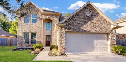 6111 Hickory Hollow Drive, Pearland