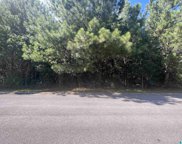 5450 Somersby Parkway Unit 11, Pinson image