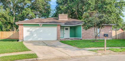 4 Mustang Court, Angleton