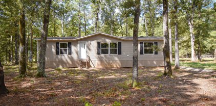 229 PR 3503, Big Sandy