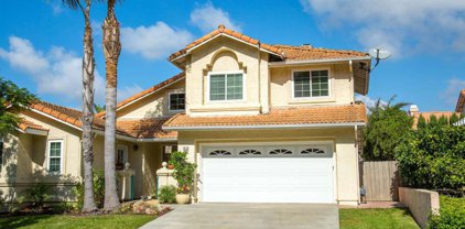 3265 Viscaya, Oceanside