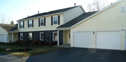 615 Mallard Court Unit #D2, Bartlett