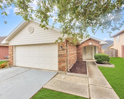 20739 Hardwick Oaks Drive, Houston
