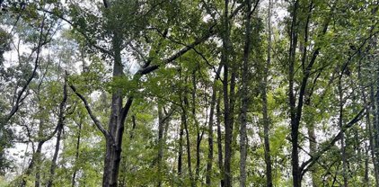 5306 Hwy 262, Pelham