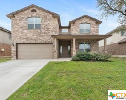 3508 Aubree Katherine Drive, Killeen